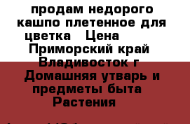 продам недорого кашпо плетенное для цветка › Цена ­ 500 - Приморский край, Владивосток г. Домашняя утварь и предметы быта » Растения   